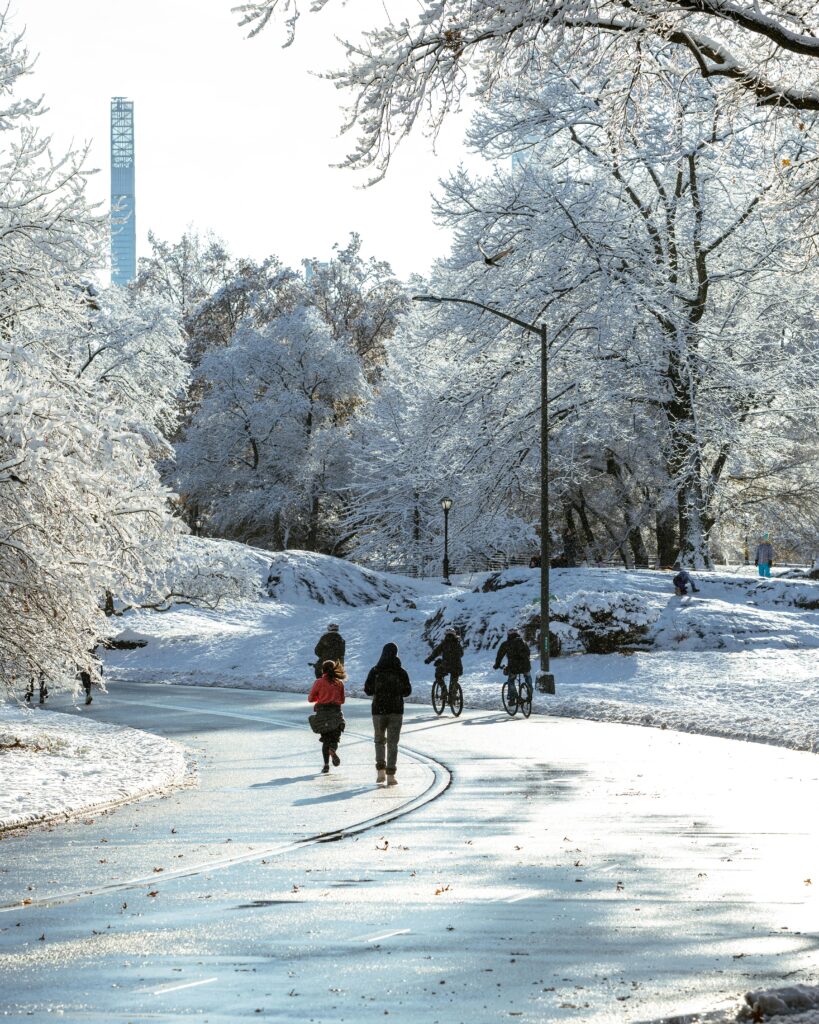 “Central Park with green lawns, walking paths, and skyscrapers surrounding the park”-Best Places in New York